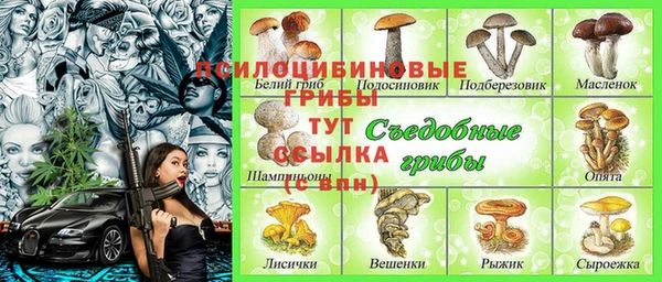 ешки Алзамай