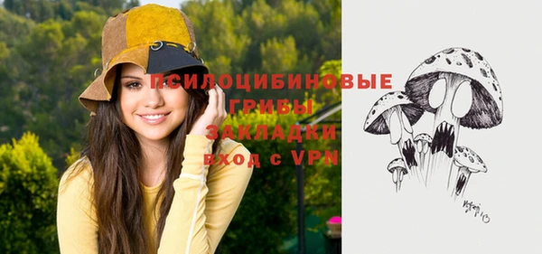 2c-b Абдулино