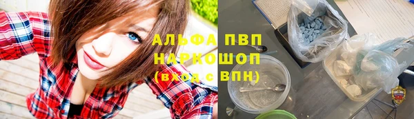 ECSTASY Абаза