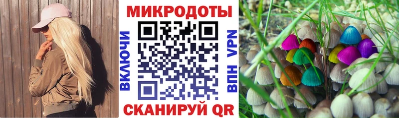 Галлюциногенные грибы Cubensis  где купить наркоту  Елизово 